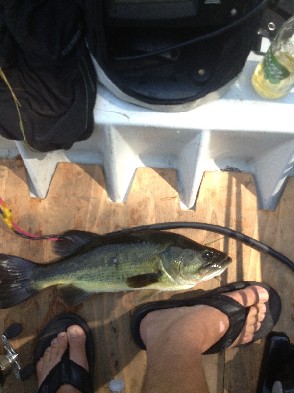 Cumberland Center fishing photo 3