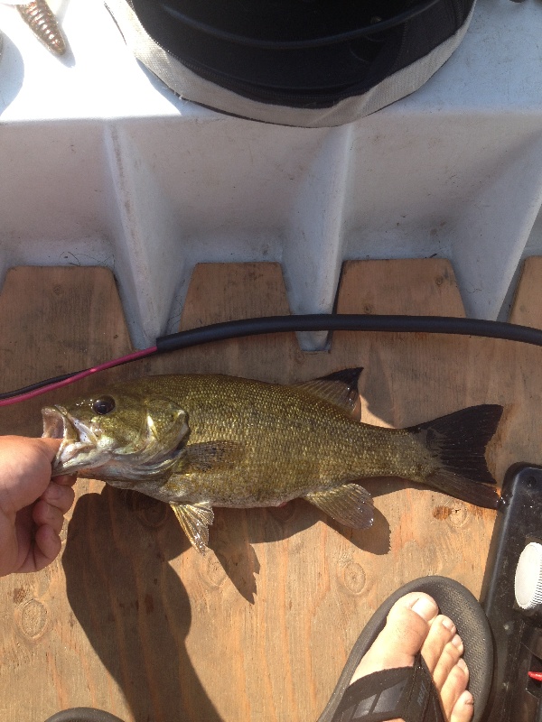 Scarborough fishing photo 3