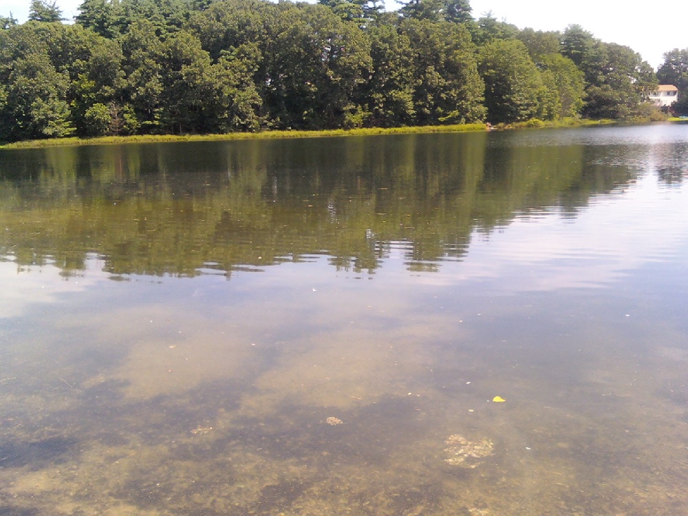 Kingsbury Pond