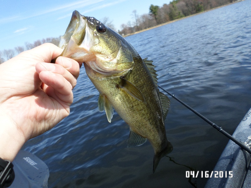 A-1 Stump Pond