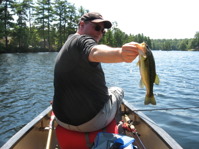 Larry #2 near Parsonsfield