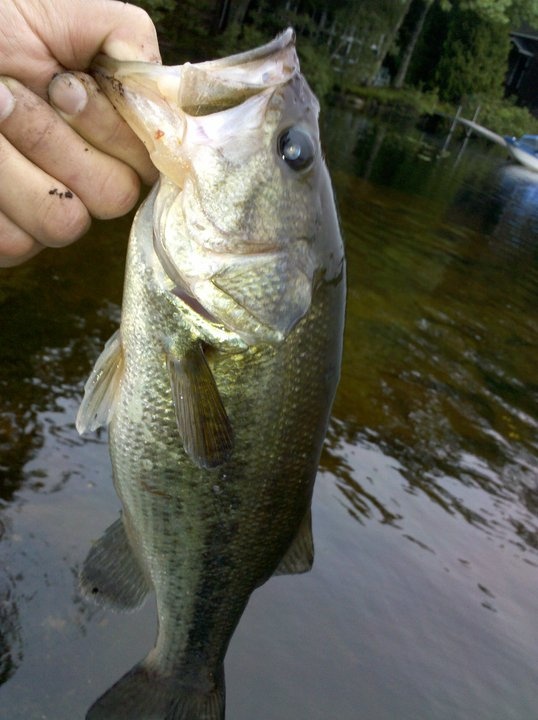 Waldoboro fishing photo 1