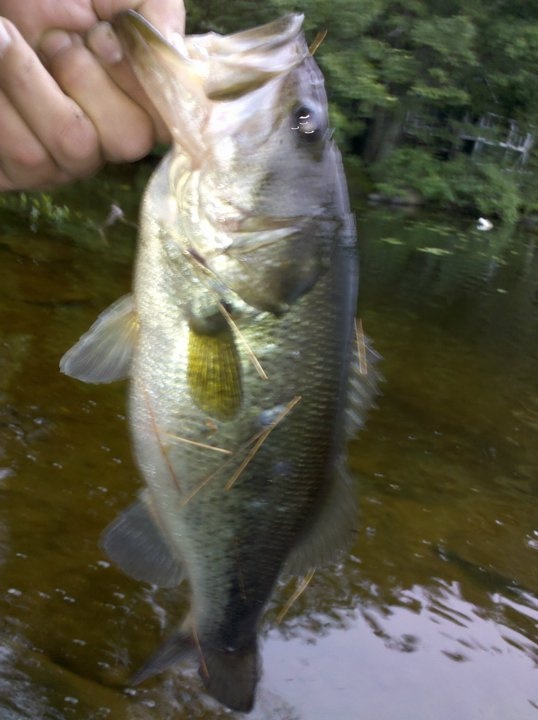 Waldoboro fishing photo 2