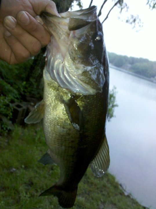 Waldoboro fishing photo 4