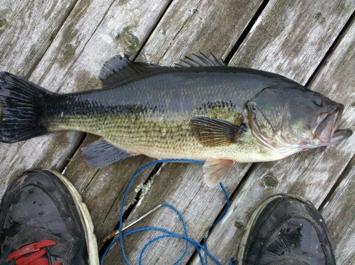 Waldoboro fishing photo 5