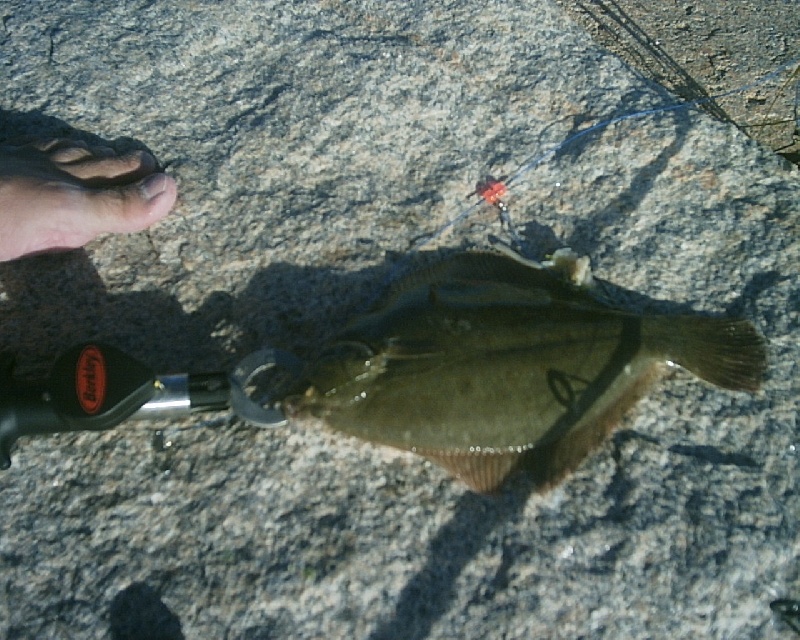 8/13/06 - Wells Beach, ME near Saco