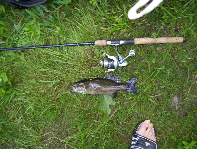 7/11/09 - Penobscot River near Winterport