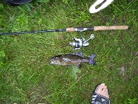 7/11/09 - Penobscot River - Brewer, ME