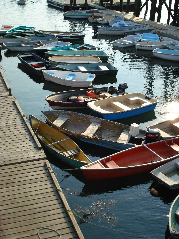 York fishing photo 0