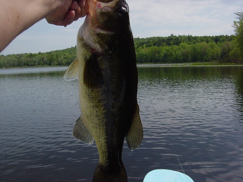 another one, North side. near Fryeburg