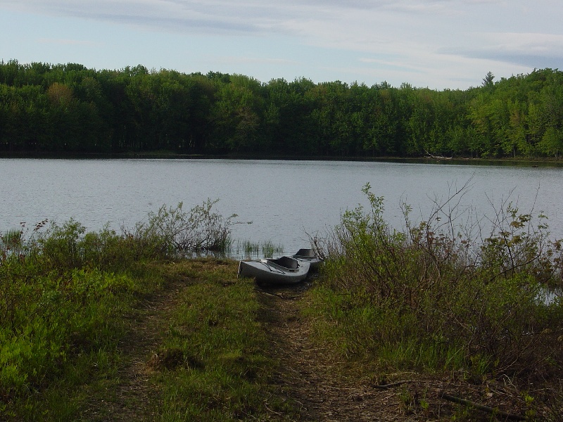 Bog Pond near Fryeburg