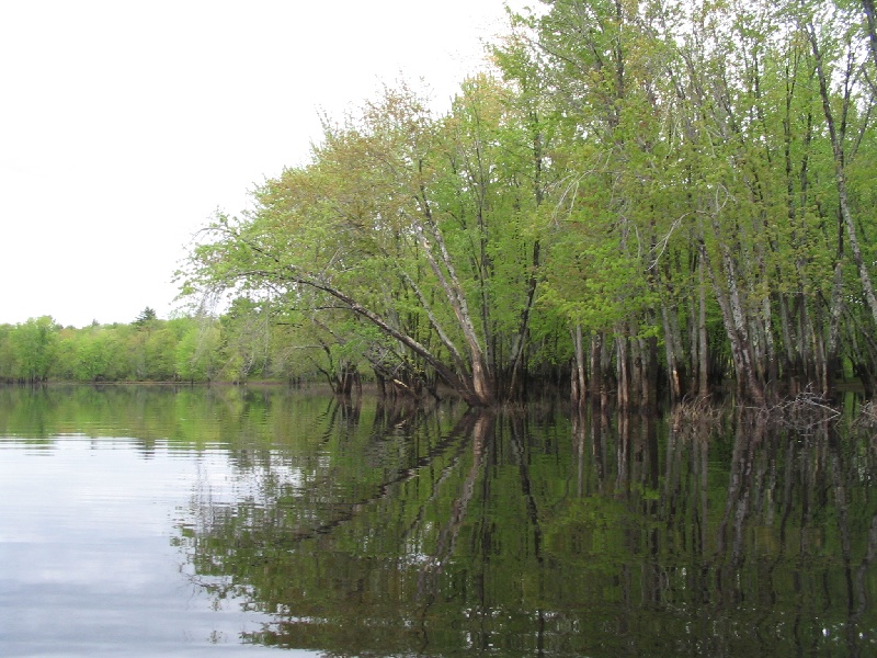 mouth of river area near Fryeburg