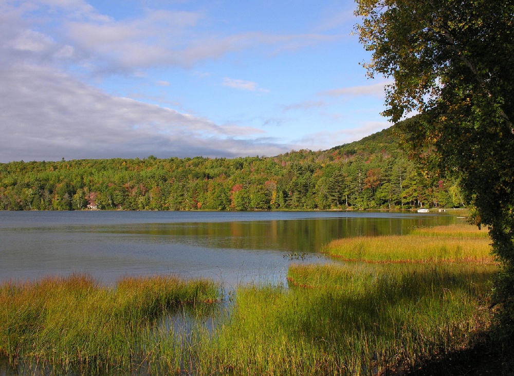 Hobbs Pond near Camden