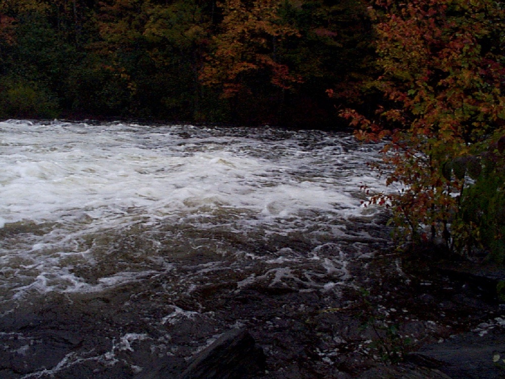 salmon falls river near Sanford