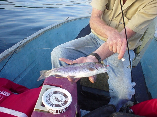 Shapleigh fishing photo 1