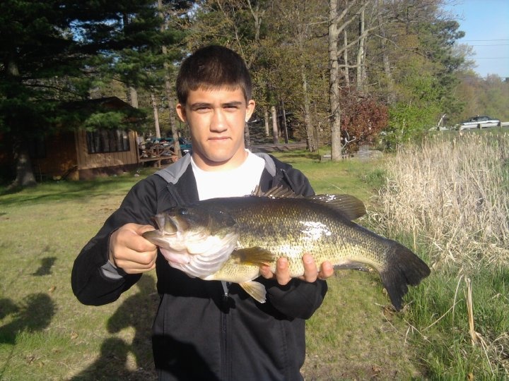 Largemouth Bass