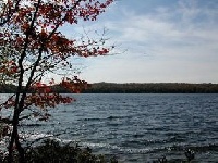 Cold Stream Pond