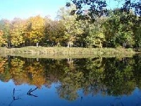 Piscataquis River